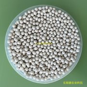 胡萝卜种子丸粒化技术