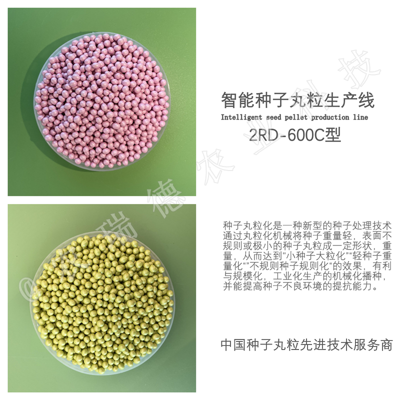 600c型IMG_2856.JPG