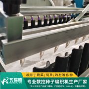 自动化穴盘育苗机，你了解多少？