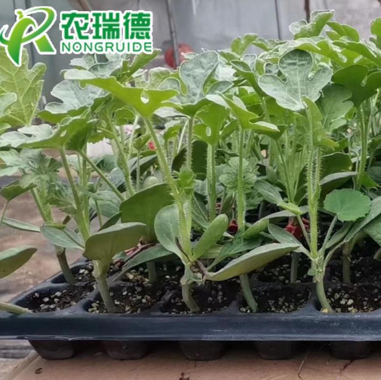360截图20210415165536811.jpg