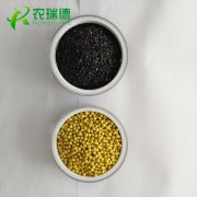 种子丸粒化实现芹菜种子的“丸”美日记