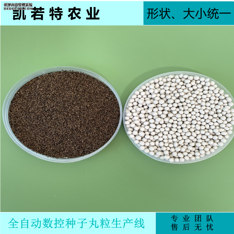 丸粒11.png