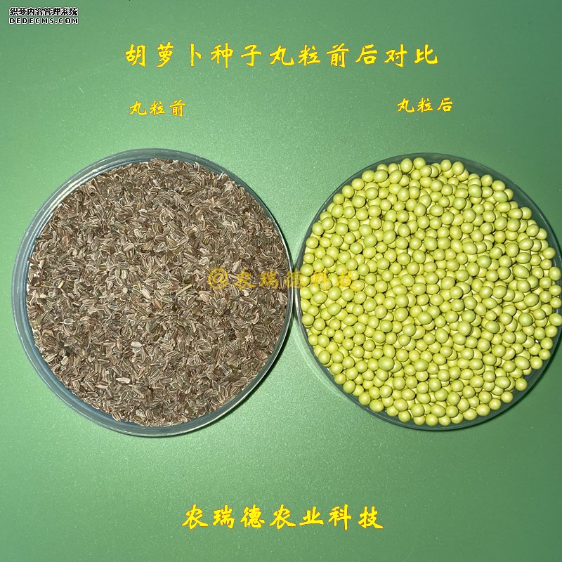 胡萝卜丸粒前后对比无尺.jpg