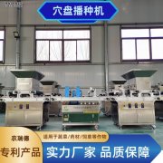 <b>穴盘播种机怎么选？穴盘播种机多少钱一台？</b>