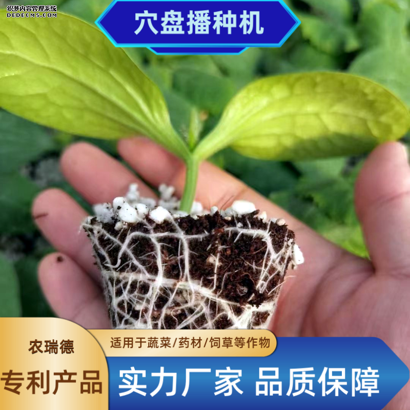 2 (11)_副本.png