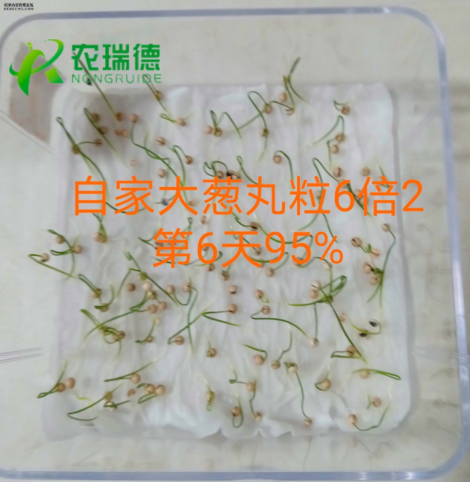 62b0c41a46200f9bb8f5d29d4d4715c_副本.jpg