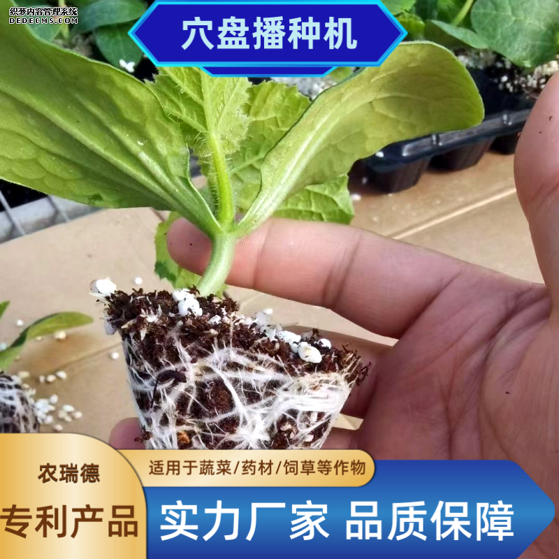 2 (36)_副本.png
