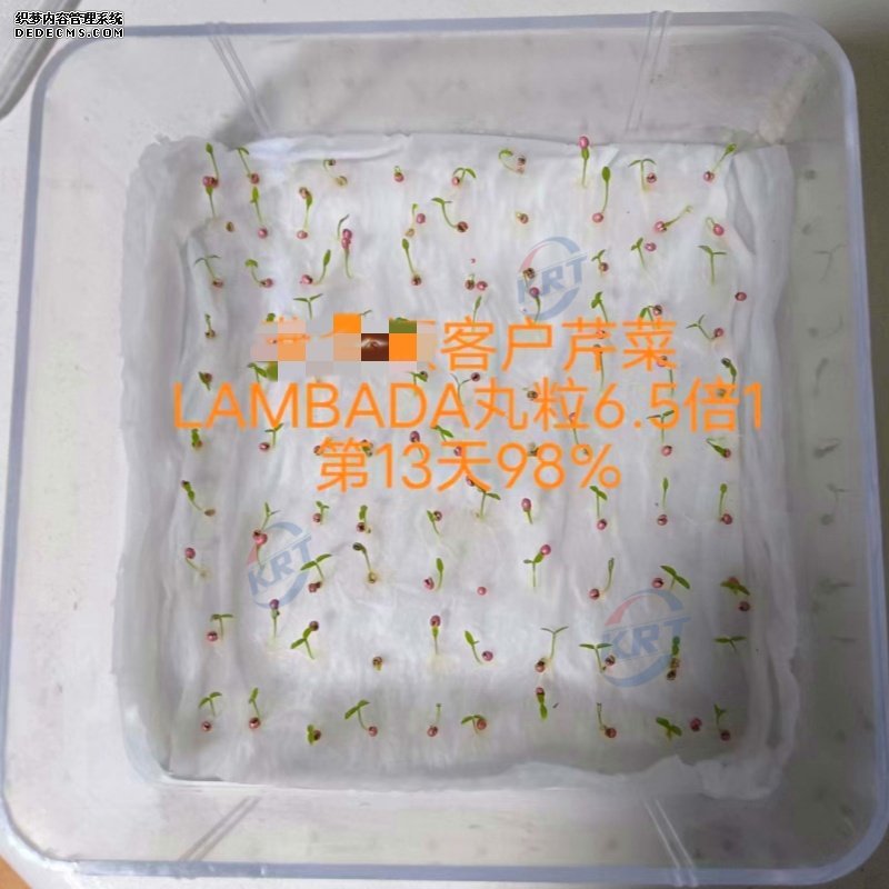 芹菜98%_副本.jpg