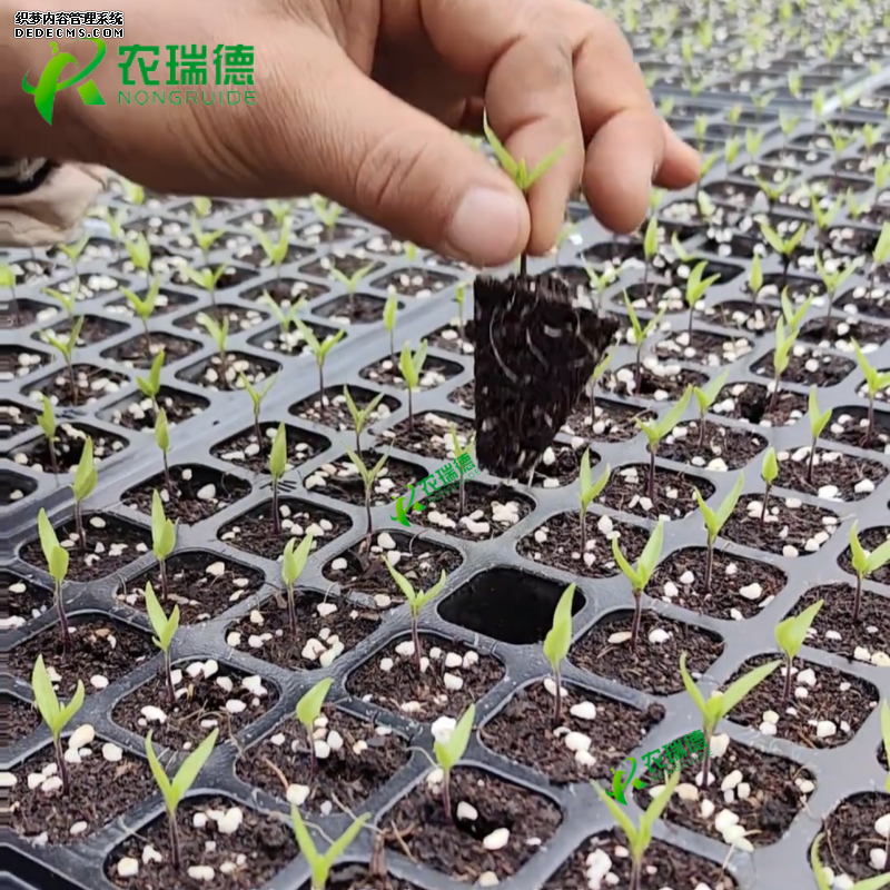8ebd7366c073e50f9bfa30b7216cbee_副本.png